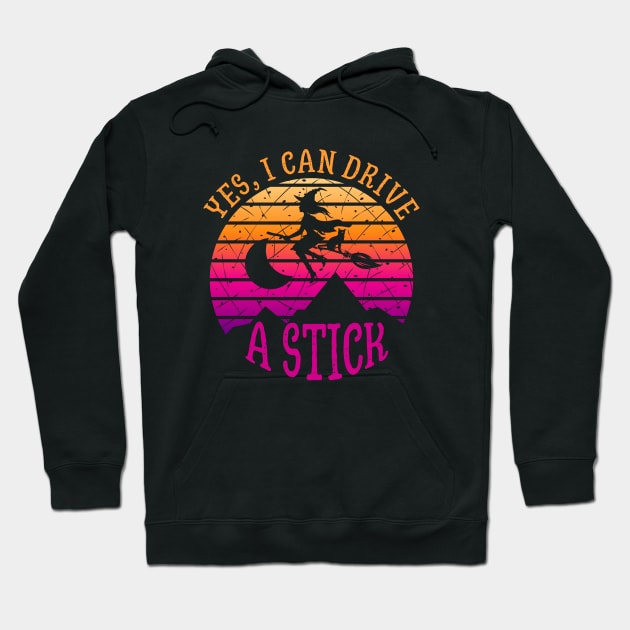 Why Yes, I can Drive A Stick witch and cat Hoodie by Myartstor 